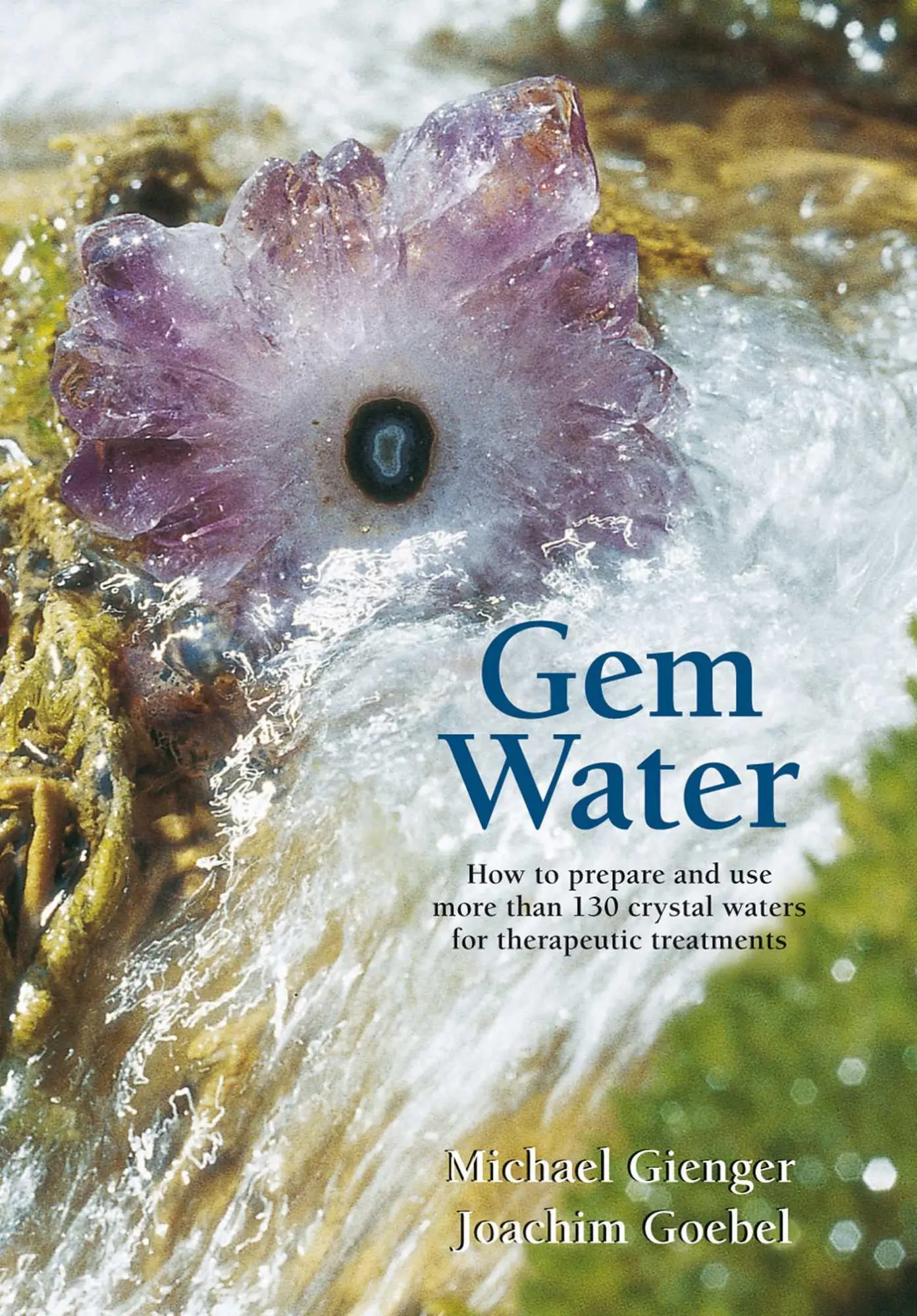 Cover: 9781844091317 | Gem Water | Joachim Goebel (u. a.) | Taschenbuch | Englisch | 2008